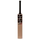 master_5000_2_ Hard ball cricket bat