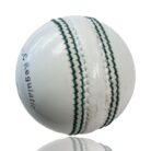 cricket leather ball_1